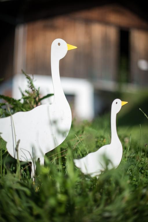 Ferienwohnungen Sumperer Pill Zewnętrze zdjęcie