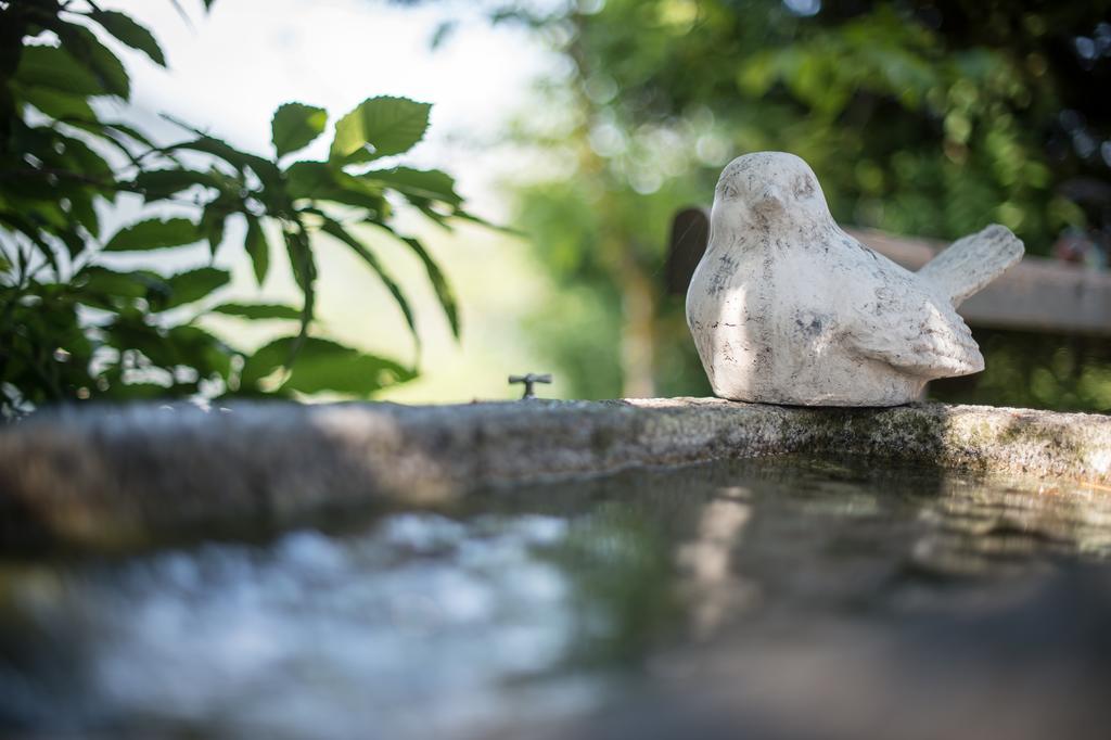Ferienwohnungen Sumperer Pill Zewnętrze zdjęcie